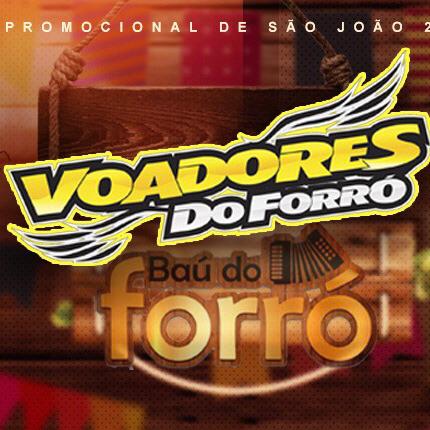 voadores-do-forro-bau-2019 (1)