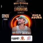 wesley-safadao-ao-vivo-em-garanhuns-pe-2k25