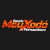 20 Sucessos da Banda Meu Xodo De Pernambuco: a Playlist que Celebra o Nordeste