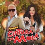 Forró Cintura De Mola: 20 Super Sucessos para Dançar Sem Parar ab67616100005174fdb5f3a753a6678926d7cdaa