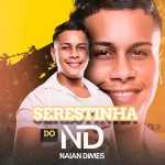 Naian Dimes: 20 Super Sucessos que redefinem a cena brasileira ab67616d00001e02cbf12d2c934ff1c65f6e9bb9