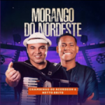 chambinho-do-acordeon-morango-do-nordeste