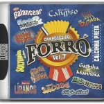 CAMPEÕES DO FORRÓ VOL. 07 (2007) (1)