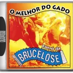 FORRó DA BRUCELOSE - O MELHOR DO GADO (2004)