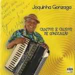 Joquinha Gonzaga: 20 Super Sucessos para Ouvir e Descobrir ab67616d00001e02d3c47027d24d4193421acb56
