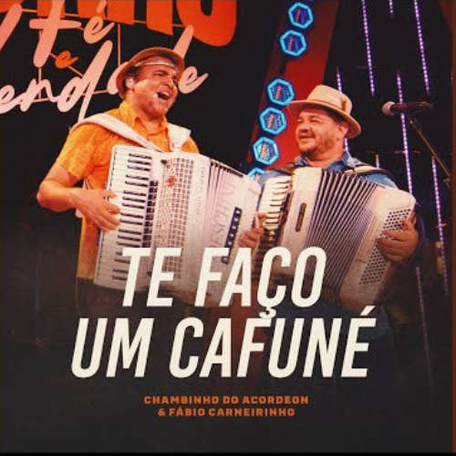 Chambinho Do Acordeon - Te Faço um Cafuné Chambinho Do Acordeon - Te Faço um Cafuné