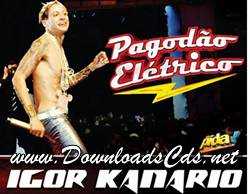 Igor Kannário Pagodão Elétrico 2013 Salvador-BA