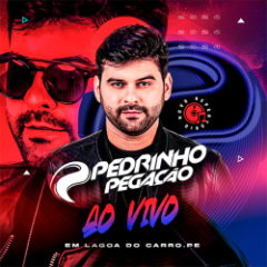 Pedrinho Pegação - Ao Vivo em Lagoa Do Carro - PE 2K24