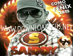 Saiddy Bamba – CD Promocional – Verão 2014
