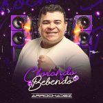 Ouvir e baixar CDs de Forró - Arrocha Dez Chorando E Bebendo 1.0 # CAPA DO CD