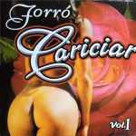 Playlists - Forro Cariciar Mais Tocadas Forro Cariciar mais tocadas 2026