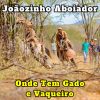 Joaozinho Aboiador mais tocadas 2026