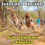 Joaozinho Aboiador mais tocadas 2026