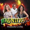 Magnificos mais tocadas 2026