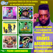 piseiro-e-arrochadeira-as-melhores-do-mistureixon-2020