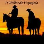 Vava Machado E Ze De Almeida mais tocadas 2026