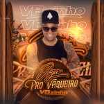Vbzinho mais tocadas 2026