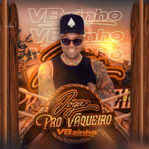 Vbzinho mais tocadas 2026