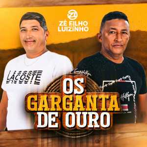 Ze Filho Luizinho mais tocadas 2026