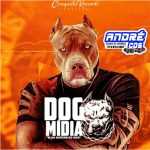 Ouvir e baixar CDs de Forró - EP DOG MÍ DIA LANÇ AMENTO 2022 ( Andre CDs O Moral De Ibicoara) Sem Título-1