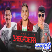 A TURMA DA BREGADEIRA MUSICAS NOVAS 2021 PARTE 2 ( Andre CDs O Moral De Ibicoara) a-turma-da-bregadeira-musicas-novas-2021-parte-2-andre-cds-o-moral-de-ibicoara-1