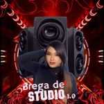 Adry Reis - Brega de Studio 1.0