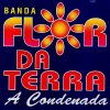 Banda Flor Da Terra mais tocadas 2026