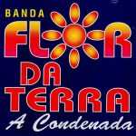 Banda Flor Da Terra mais tocadas 2026