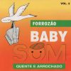 Banda Forrozao Baby Som mais tocadas 2026