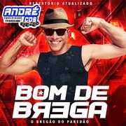 BOM DE BREGA CD VERAO 2021 VOL 2 ( Andre CDs O Moral De Ibicoara)
