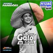 bonde-do-galo-da-roc-a-repertorio-novo-andre-cds-o-moral-de-ibicoara
