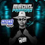BONDE DO GATO PRETO CD PROMOCIONAL MEDIOS DE PAREDAO ( Andre CDs O Moral De Ibicoara)