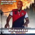 Ouvir e baixar CDs de Forró - RAIMUNDAO DOS TECLADOS NO PENEIRÃ O 2020 capa raimundao