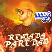 CD NANDINHO PAREDÃ O REVOADA 2021.2 ( Andre CDs O Moral De Ibicoara)
