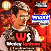 CD WESLAY SANTANA ( A VOZ DA SOFRENCIA ) ( Andre CDs O Moral De Ibicoara)