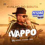 É VAPPO + 1 FILHO DO BIRUTA 2021 ( Andre CDs O Moral De Ibicoara)