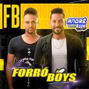 FORRÓ BOYS VOL. 9 ( Andre CDs O Moral De Ibicoara)