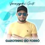 Playlists - Garotinho Do Forro Mais Tocadas Garotinho Do Forro mais tocadas 2026
