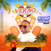 GASPARZINHO CD VERÃ O 2021 ( Andre CDs O Moral De Ibicoara)