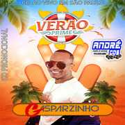 GASPARZINHO CD VERÃ O 2021 ( Andre CDs O Moral De Ibicoara)