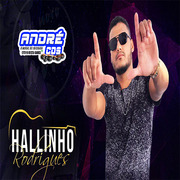 hallinho-rodrigues-cd-um-novo-hit-2021-andre-cds-o-moral-de-ibicoara