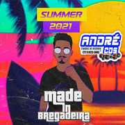 MADE IN BREGADEIRA PRA PAREDÃ O PROMOCIONAL 2021 ( Andre CDs O Moral De Ibicoara)