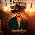 Netinho Do Forro mais tocadas 2026