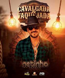 Netinho Do Forro mais tocadas 2026