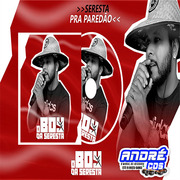 o-boy-da-seresta-a-seresta-dos-paredo-es-andre-cds-o-moral-de-ibicoara-2