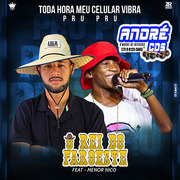 O REI DO FAROEST CD VERÃ O 2021 ( Andre CDs O Moral De Ibicoara)