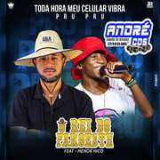 O REI DO FAROEST CD VERÃ O 2021 ( Andre CDs O Moral De Ibicoara)