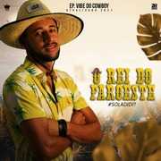 O REI DO FAROEST EP VIBE DO COWBOY 2021 ( Andre CDs O Moral De Ibicoara)