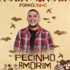 Pecinho Amorim mais tocadas 2026