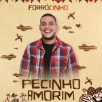 Pecinho Amorim mais tocadas 2026